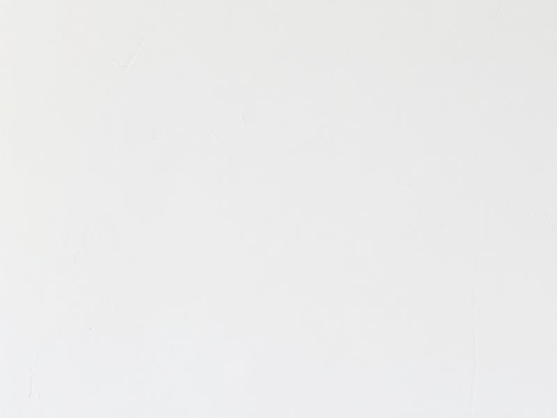 Skimming & Plastering